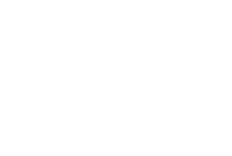 Chevrolet Logo