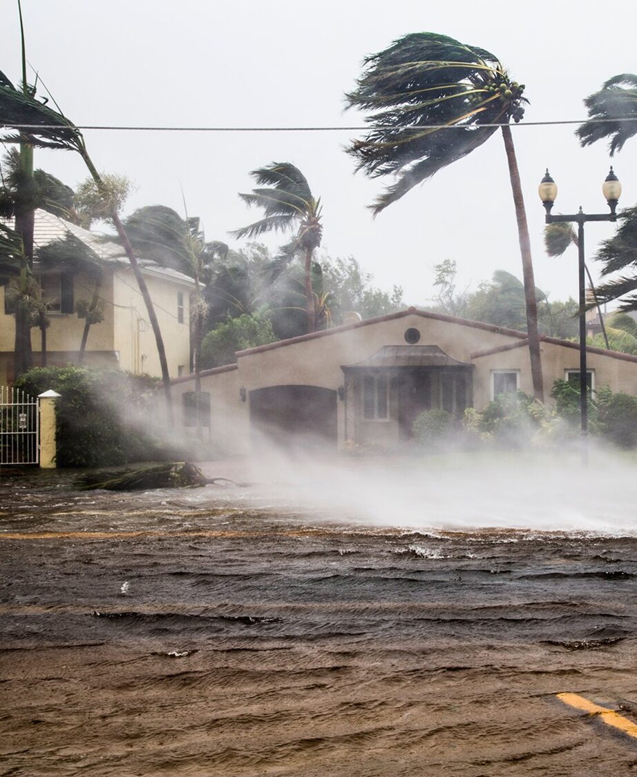 Heavy rain and strong winds whip through a street with bent palm trees and houses during a powerful hurricane.