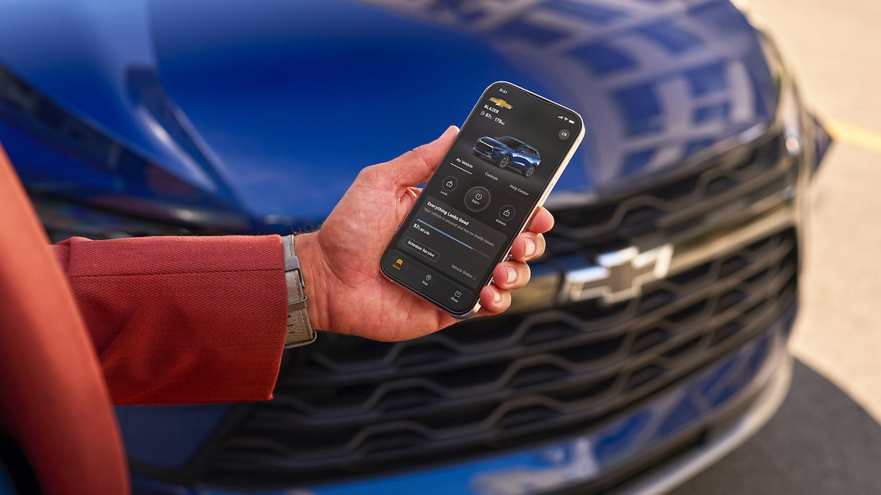Person Using Smartphone in Front of Vehicle
