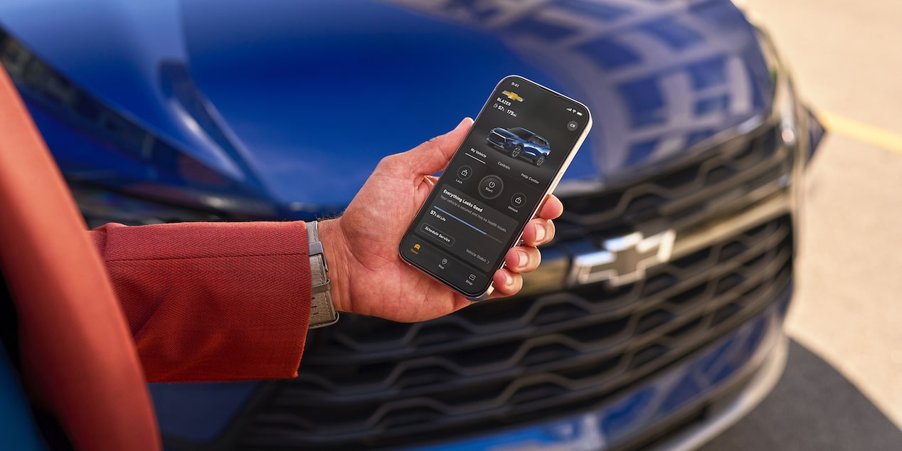 Person Using Smartphone in Front of Vehicle