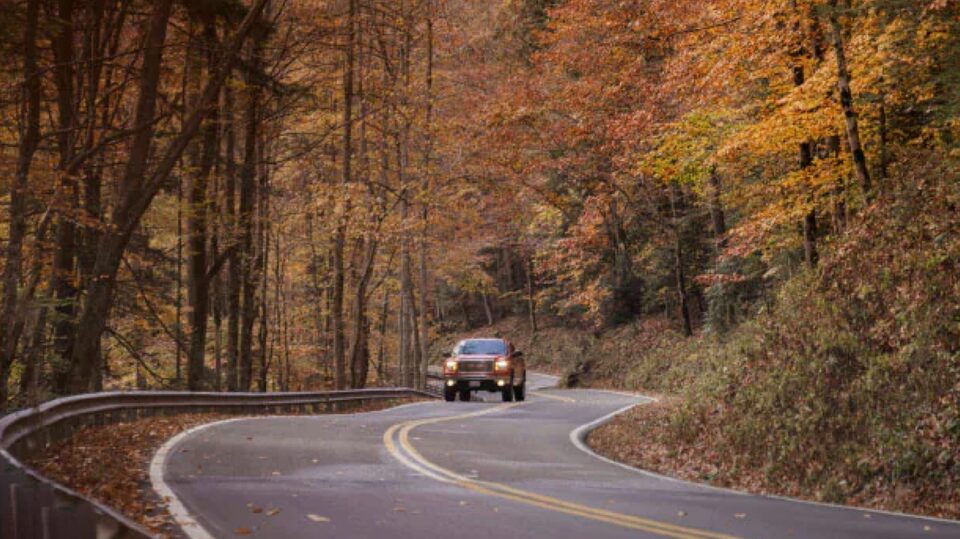 Car Driving Through a Beautiful Fall Tree Lined Road